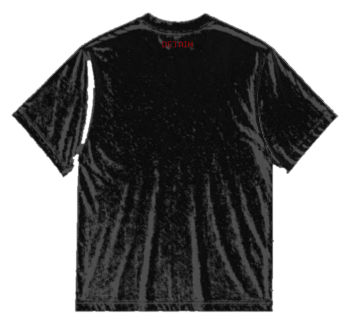 DETAIN embroidered tee back